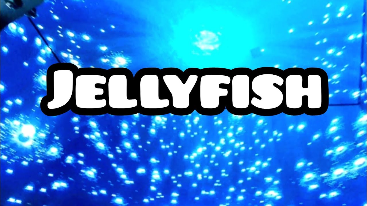 JELLYFISH MESSAGE FOR SAFE ENVIRONMENT 