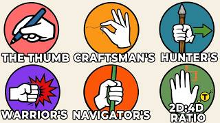 Every Hidden Evolutionary Advantage of Your Hand Shape Explained