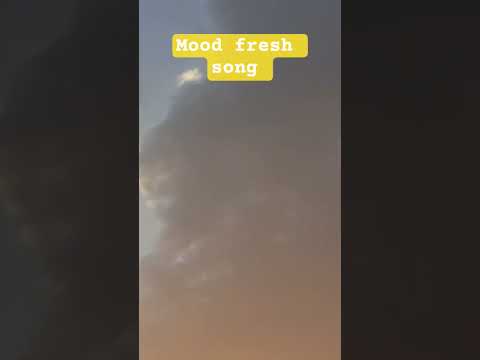 #music #love 🌻🌼Good evening 🌷🥰Feel this song 🌻#ytshorts #viral 💮#trendingshorts #shortsfeed #cute