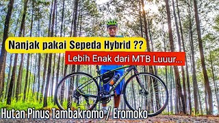 Gowes nanjak dengan sepeda Hybrid || cara gowes di tanjakan