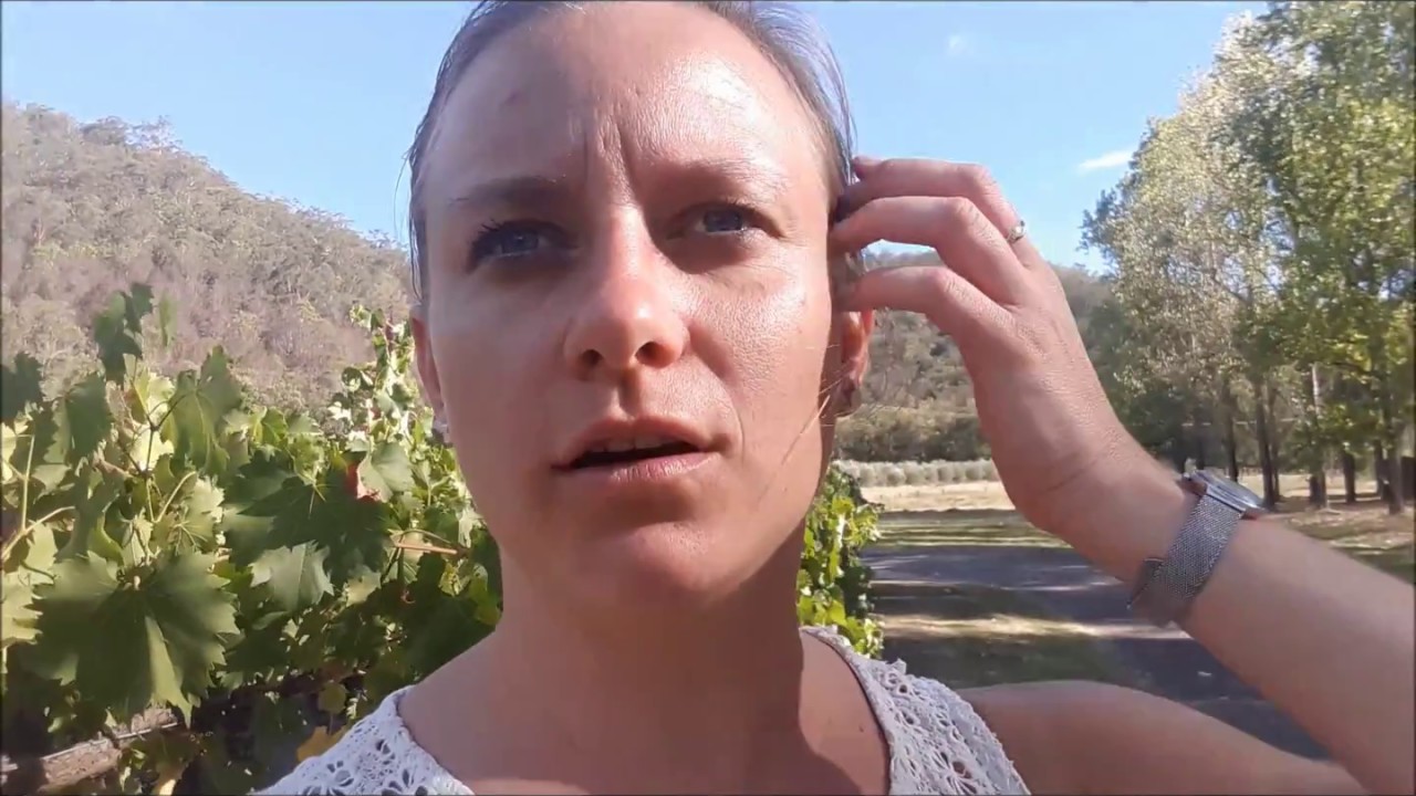 Stonehurst Cedar Creek- Hunter Valley