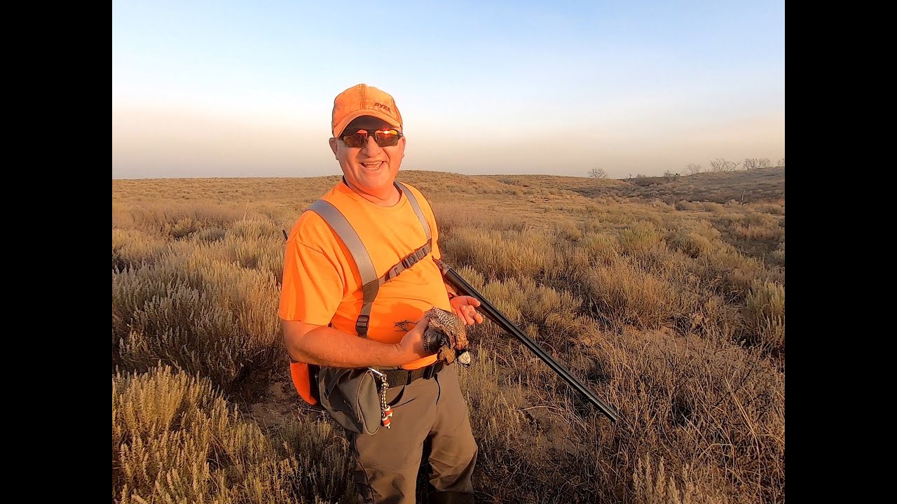 Ellie's Opener Oklahoma Quail Hunting YouTube