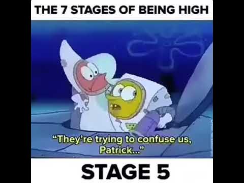 The 7 Stages Of Being High