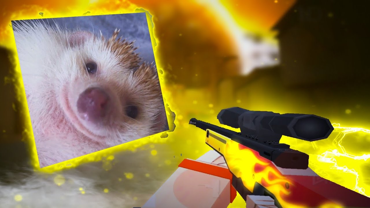 Im better🥱 | FAN OF GUNS