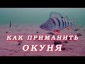 Как ПРИМАНИТЬ ОКУНЯ! Безотказная Приманка РАБОТАЕТ ВСЕГДА и У ВСЕХ!