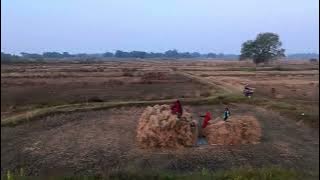 ढावा तिवारियान । निगूढ़गाह । छतैनी । हनुमना |DJI Neo