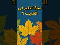 لماذا تتحول أوراق الشجر لألوان خريفية mp3