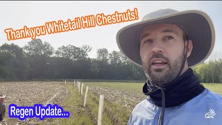 Thank You Whitetail Hill Chestnuts!  Great Service. #foodplot #deerhunting #trees