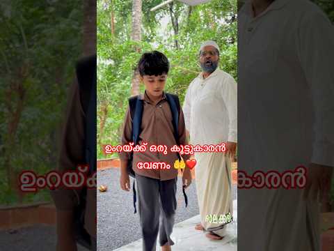 ഒരു കൊച്ചുമകന്റെ തമാശ...ഉപ്പുപ്പയുടെ മനസ്സിലെ ആഗ്രഹം പുറത്തെടുത്തു🤍 #umrah #hajj #travel #trending