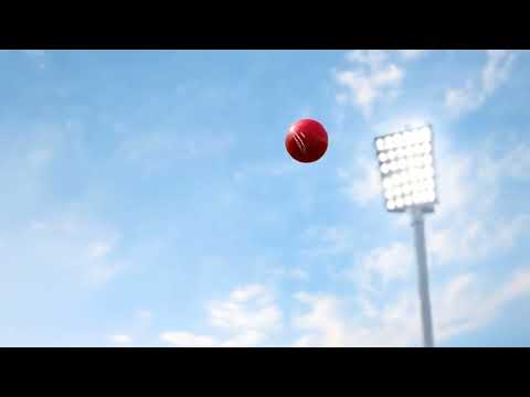 Tonu's Cricket Dream