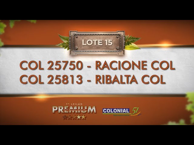 LOTE 15   COL 25750, 25813