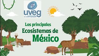 Los principales ecosistemas de México ~ UVEG
