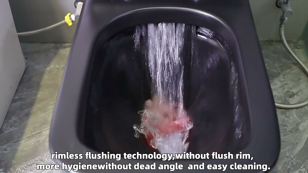 Matte black floor toilet ,high quality cleaning.