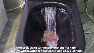 Matte Black Floor Toilet ,High Quality Cleaning.