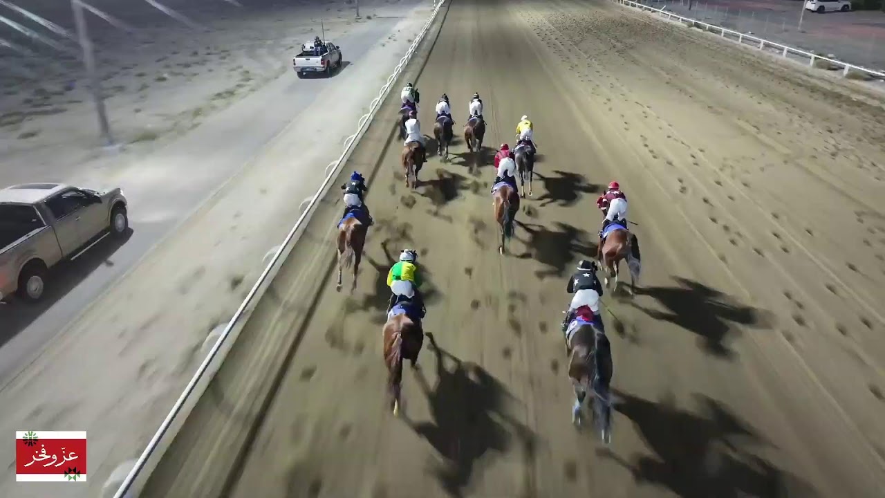 الاجتماع السابع ( نادي الصيد والفروسية )  مضمار الشيخ احمد الجابر الصباح 2024-12-17