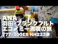 【飛行機】ANAエコノミーで東京（羽田）からフランクフルト！フライトレビュー