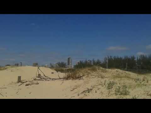 Vídeo: Por que a grama Marram se desenvolve nas dunas de areia?