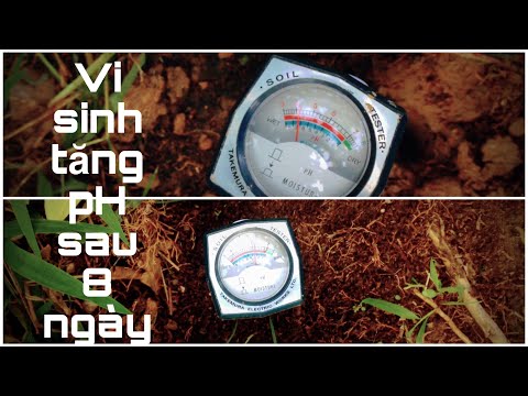 Video: Độ pH của bãi cỏ của tôi quá cao: Mẹo về cách giảm độ pH của bãi cỏ
