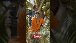 “Monkey Coconut Vlog 😂🥥” #comedy #funny #monkey #funpage #cat #viralvideo #funnyanimals #eyecatchy