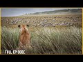SAVAGE SAVANNA – A Ruthless Fight for the Throne (Full Episode) | Nature Animal Documentary