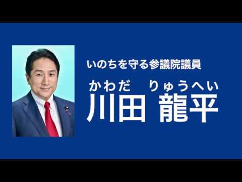いのちを守る参議院議員　川田龍平　２０１９