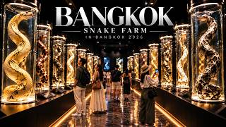 Bangkok Snake Farm 2026 🇹🇭 One of the World’s Most Extraordinary Snake Farms • 4K HDR