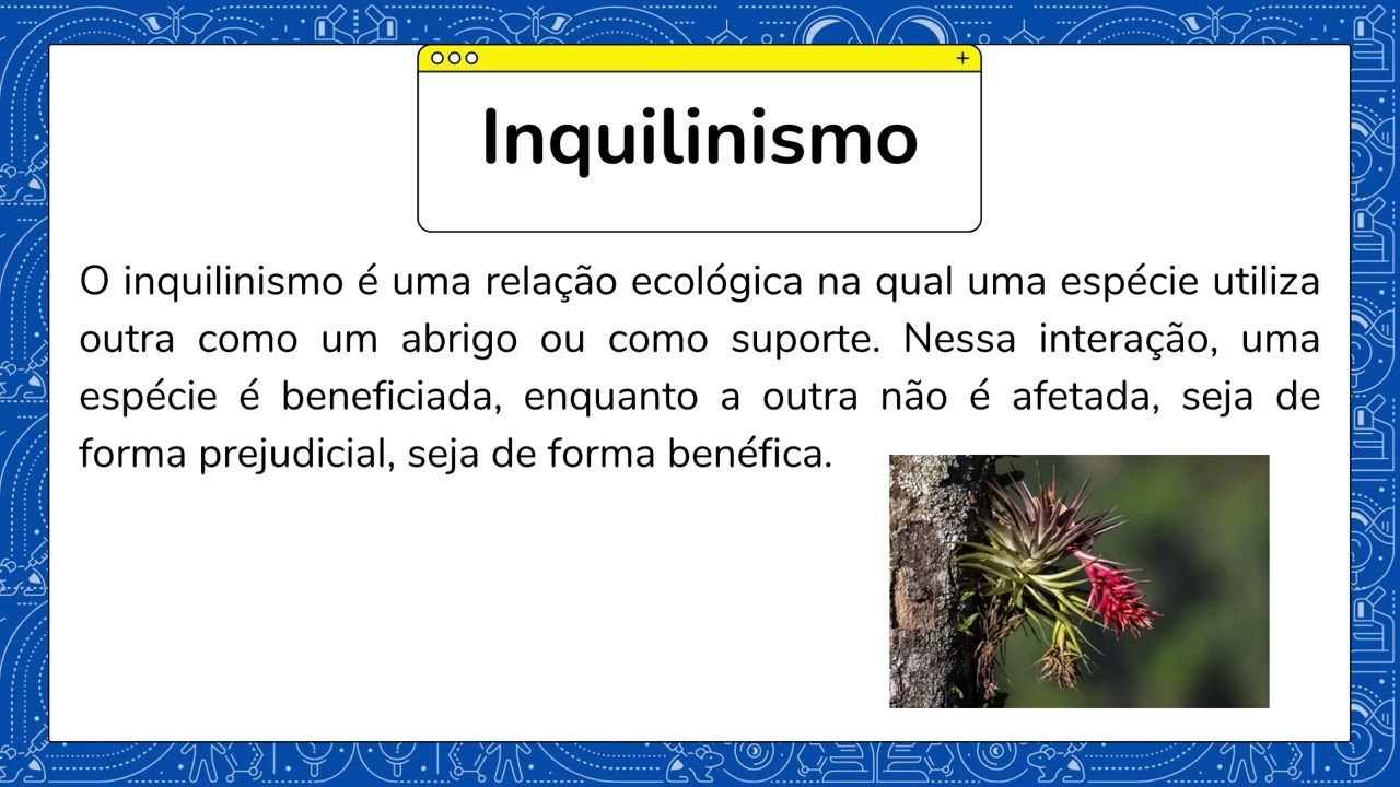 Relações ecológicas harmônicas: Comensalismo e Inquilinismo - YouTube