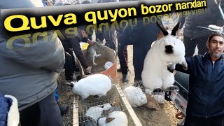 :     12  2021.    . Market prices for rabbits