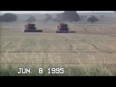 DAY 35 / 2022 Wheat Harvest - July 20 / 1995 Wheat Harvest (Part 1)