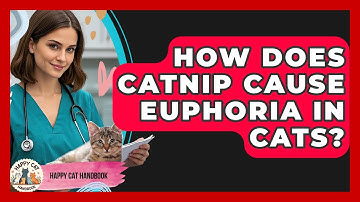 How Does Catnip Cause Euphoria In Cats? - Happy Cat Handbook