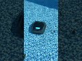 If you have a pool YOU NEED THIS pool robot vacuum for cleaning the bottom! It picks up leaves,