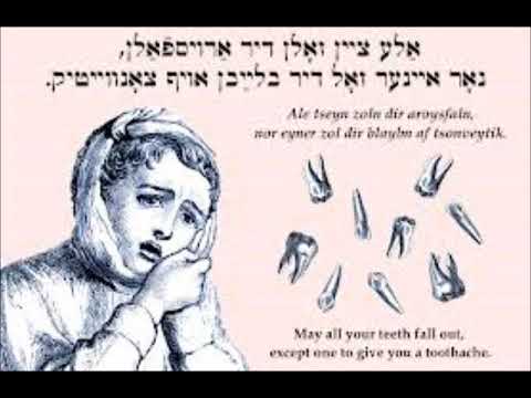 יפה ירקוני-שיין ווי די לבֿנה