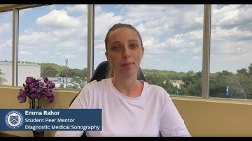 Peer Mentor Program: Guidance That Makes a Difference | AIMS Education