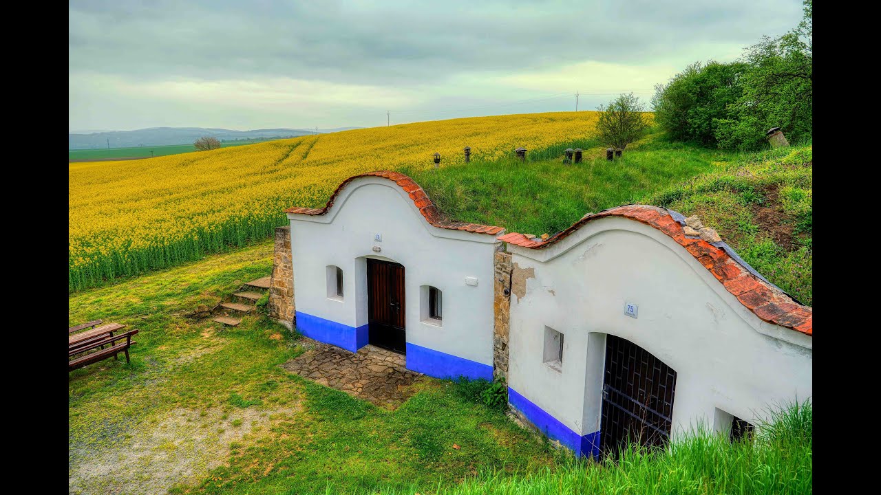 Petrov - Plže  otevřené sklepy 29.4.2023