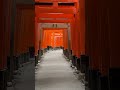 A Thousand Torii Gate #japantravel #asiantravel #travel