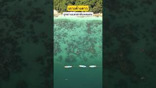 เกาะค้างคาว #อุทยานแห่งชาติแหลมสน #อุทยานแห่งชาติ #PuredocTV