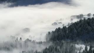 Winter Echoes