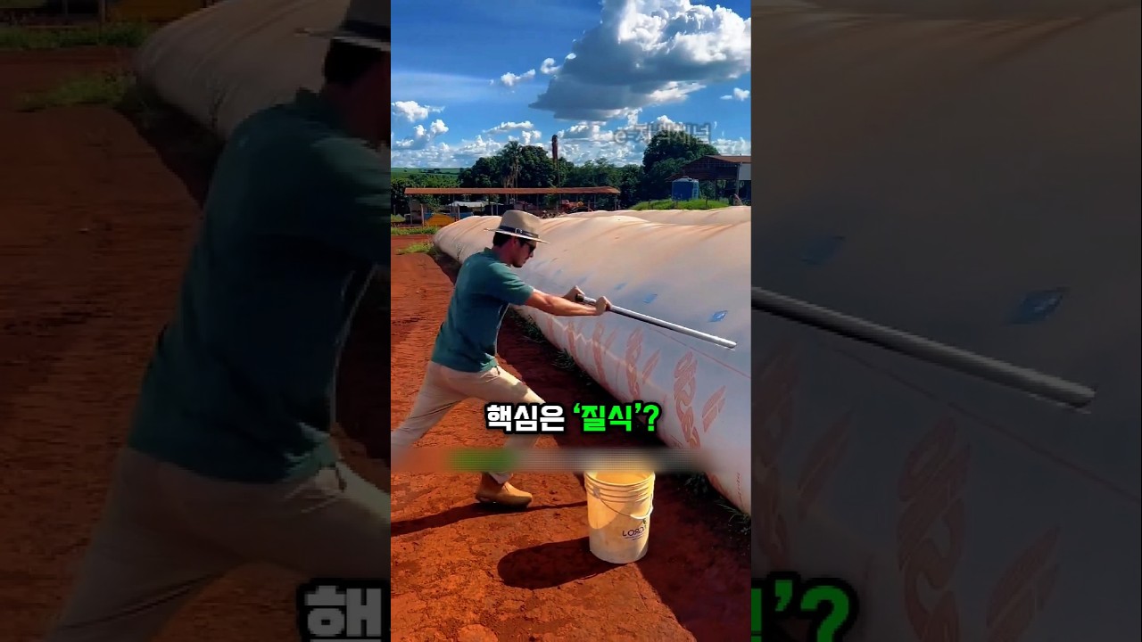 브라질은 왜 곡물을 비닐봉지에 넣어둘까?