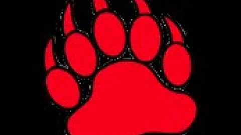 Kimball/White Lake Wildcats Vs. Chamberlain Cubs Volleyball