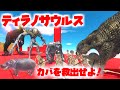 ダーク恐竜につかまった友達のカバを救出せよ！恐竜ティラノサウルスの冒険😁 アニマルレボルトバトルシミュレーター