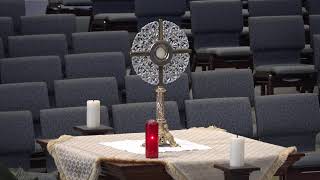 Daily Mass: Tuesday, July 7