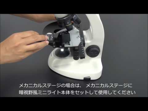 動画