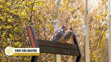 Phút Cầu Nguyện, Thứ Năm 09/07/2020: Bắt Đầu Mọi Sự Bằng Đức Ái