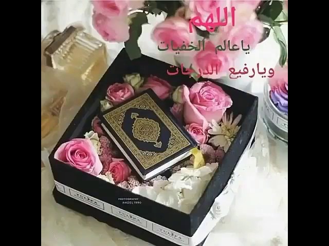 اللهم اغفر لي وَلِوَالِدَيَّ وَلِلْمُؤْمِنِينَ والمؤمنات والمسلمين والمسلمات الاحياء منهم والاموات