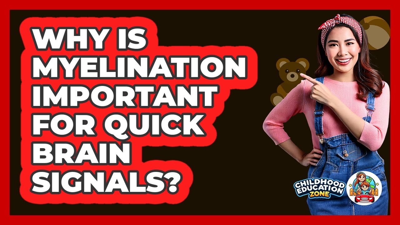 Why Is Myelination Important For Quick Brain Signals?