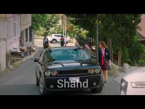 ايكيم وكانات كل الاحبه اتنين اتنين