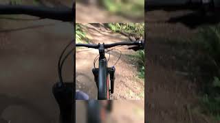 Wall Ride on Voodoo Child