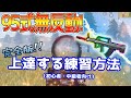 【荒野行動】95式解説動画 (初心者•中級者向け)【完全版】