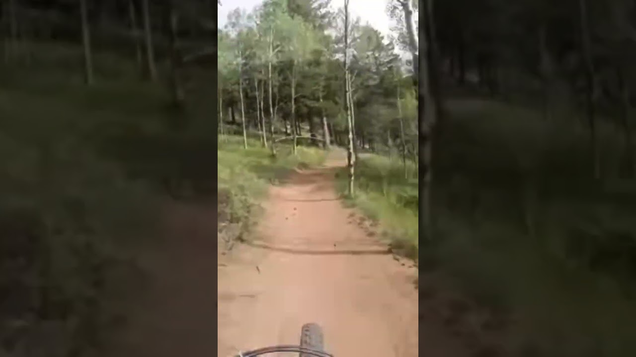 Downhill in Colorado!