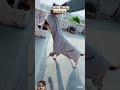 New dog unlock😁😁🤣. #viralcontent #funny #viralvideo #comedy #shortvideo #shortsviral